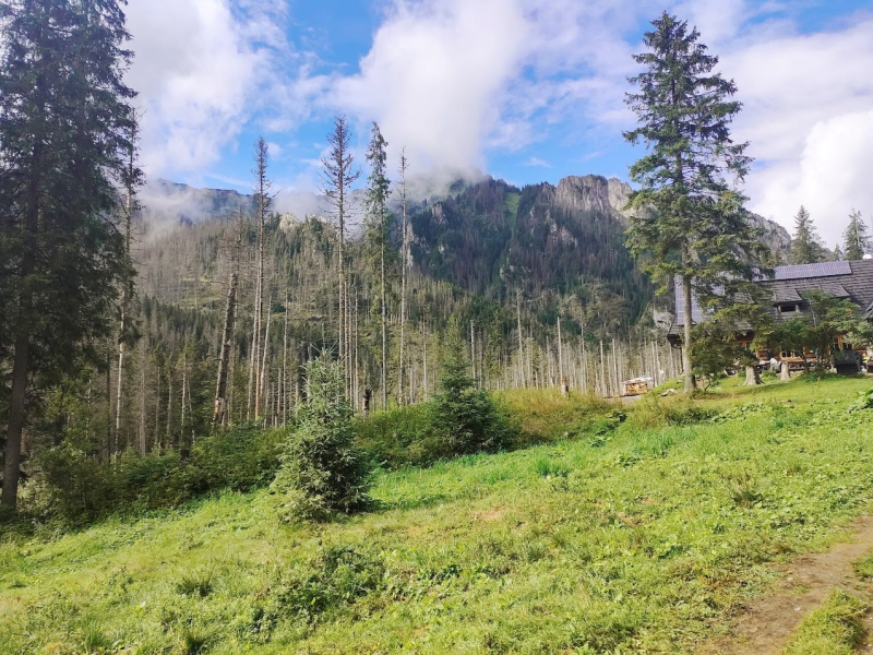 Coś niesamowitego wydarzyło się w polskich górach. Najnowsze badanie Tatr przynosi ważną lekcję