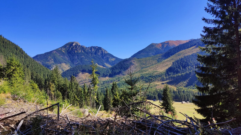 Coś niesamowitego wydarzyło się w polskich górach. Najnowsze badanie Tatr przynosi ważną lekcję