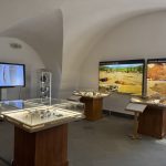 Mały Wawel w Suchej Beskidzkiej?