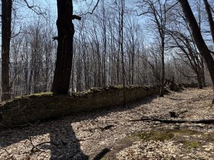 Mały Wawel w Suchej Beskidzkiej?