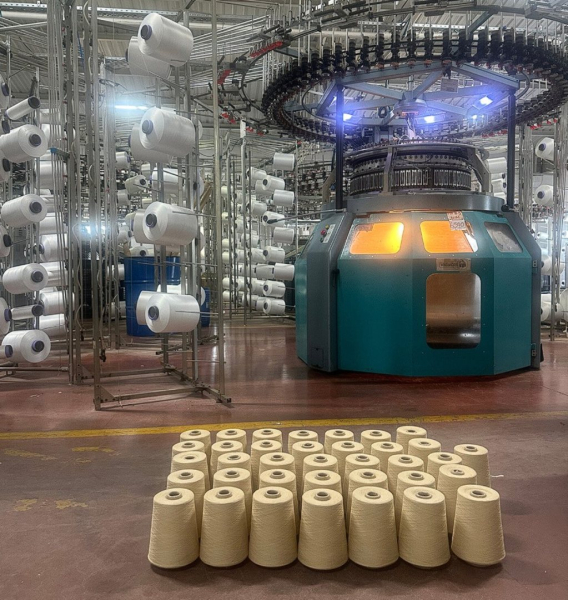 Pożegnaj poliester. Drożdże szyją przyszłość mody taniej niż wełna