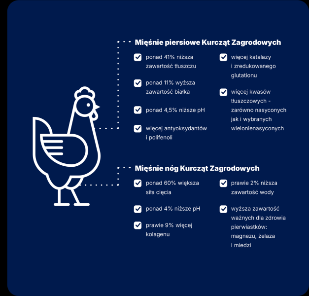 Badania naukowców z SGGW potwierdzają: Kurczak Zagrodowy ma więcej wartości odżywczych niż konwencjonalny brojler. To ważne dla naszego zdrowia!