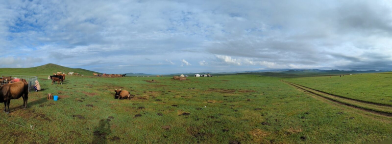 Wojowanie opanowane do perfekcji? Tak Mongołowie stali się legendą