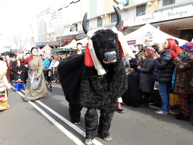 Bumerang Polski: Zimowy Festiwal w Górach Blękitnych